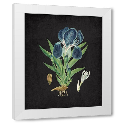 Blue Iris 3 White Modern Wood Framed Art Print by Kimberly, Allen