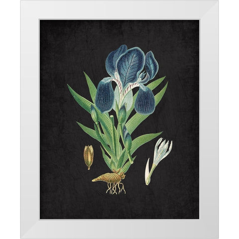 Blue Iris 3 White Modern Wood Framed Art Print by Kimberly, Allen