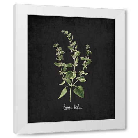 Lemon Balm White Modern Wood Framed Art Print by Kimberly, Allen