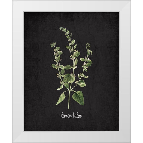Lemon Balm White Modern Wood Framed Art Print by Kimberly, Allen