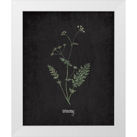 Caraway White Modern Wood Framed Art Print by Kimberly, Allen