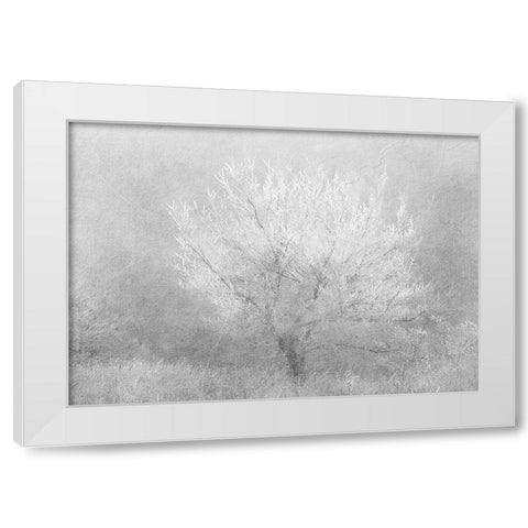 Silver Dreaming Tree White Modern Wood Framed Art Print by Kimberly, Allen