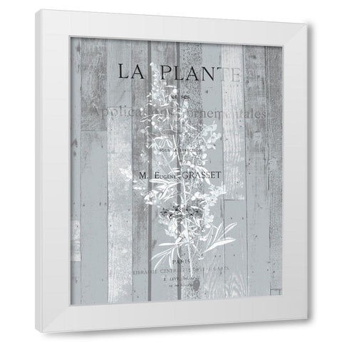 La Plante 1 White Modern Wood Framed Art Print by Kimberly, Allen