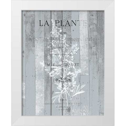La Plante 1 White Modern Wood Framed Art Print by Kimberly, Allen