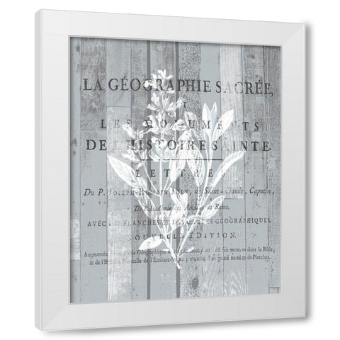 La Plante 2 White Modern Wood Framed Art Print by Kimberly, Allen