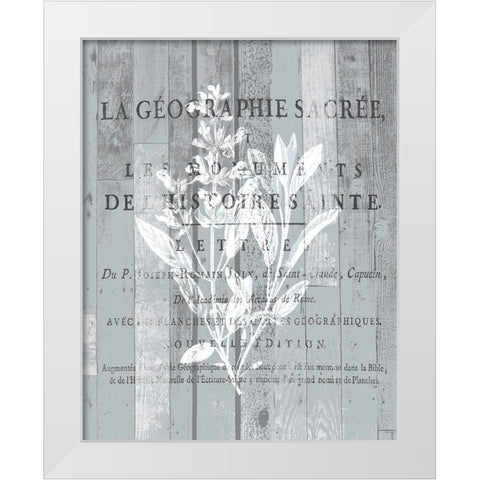 La Plante 2 White Modern Wood Framed Art Print by Kimberly, Allen
