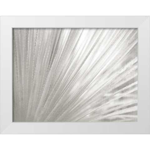 Silver Wash Succulent White Modern Wood Framed Art Print by Kimberly, Allen
