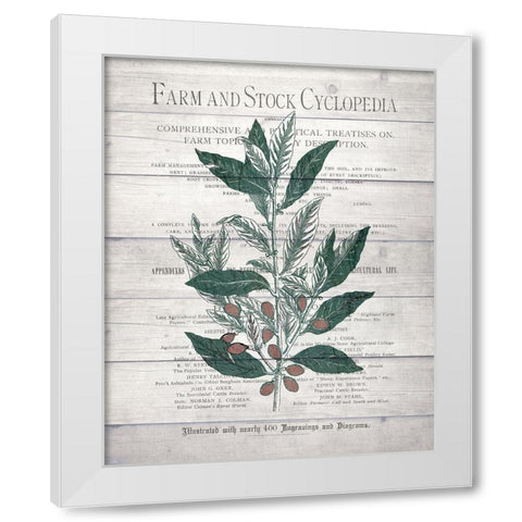 Botanical A v2 White Modern Wood Framed Art Print by Kimberly, Allen