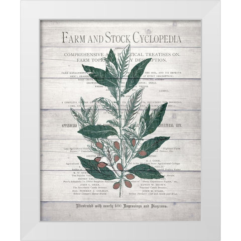 Botanical A v2 White Modern Wood Framed Art Print by Kimberly, Allen