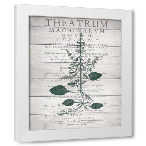 Botanical B v2 White Modern Wood Framed Art Print by Kimberly, Allen