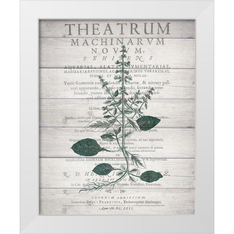 Botanical B v2 White Modern Wood Framed Art Print by Kimberly, Allen