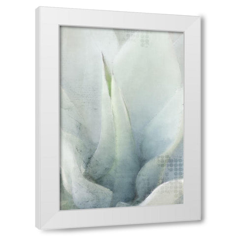 Agave 1 White Modern Wood Framed Art Print by Kimberly, Allen
