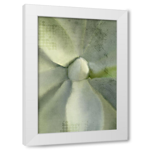 Agave 2 White Modern Wood Framed Art Print by Kimberly, Allen