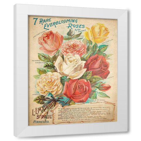 Everblooming Roses White Modern Wood Framed Art Print by Kimberly, Allen