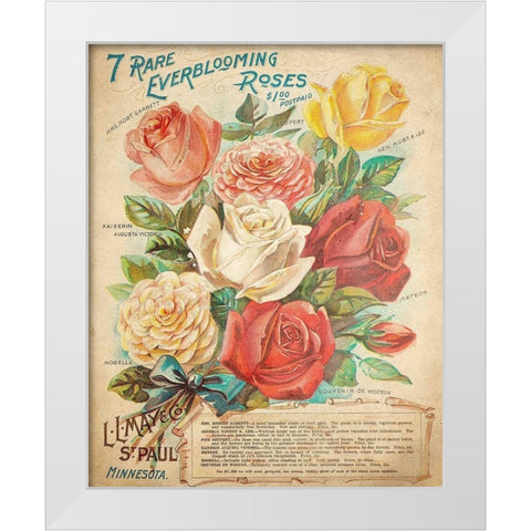 Everblooming Roses White Modern Wood Framed Art Print by Kimberly, Allen