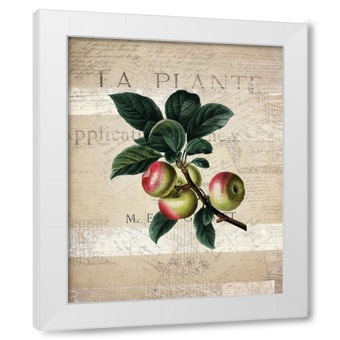 Fruit 1 White Modern Wood Framed Art Print by Kimberly, Allen