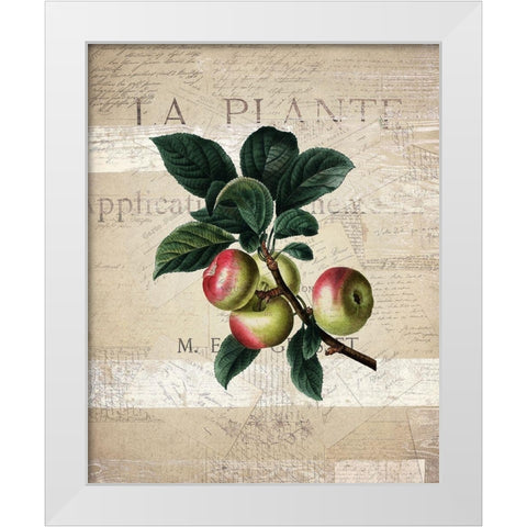 Fruit 1 White Modern Wood Framed Art Print by Kimberly, Allen