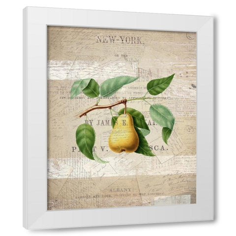 Fruit 2 White Modern Wood Framed Art Print by Kimberly, Allen
