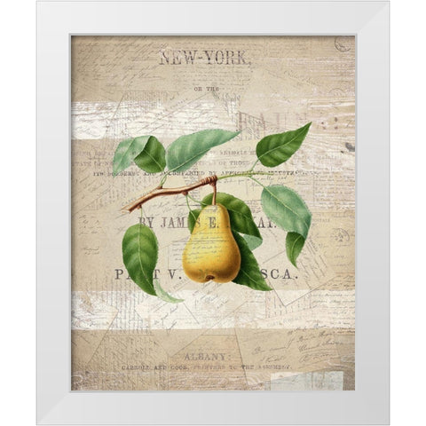 Fruit 2 White Modern Wood Framed Art Print by Kimberly, Allen