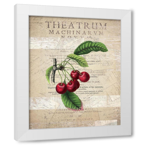 Fruit 3 White Modern Wood Framed Art Print by Kimberly, Allen