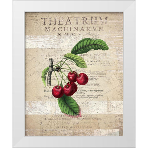 Fruit 3 White Modern Wood Framed Art Print by Kimberly, Allen