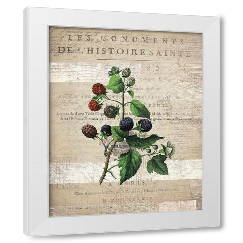 Fruit 4 White Modern Wood Framed Art Print by Kimberly, Allen
