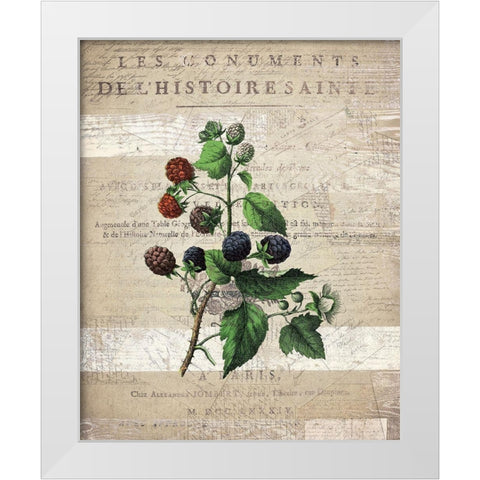 Fruit 4 White Modern Wood Framed Art Print by Kimberly, Allen