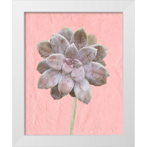 On Pink C White Modern Wood Framed Art Print by Kimberly, Allen