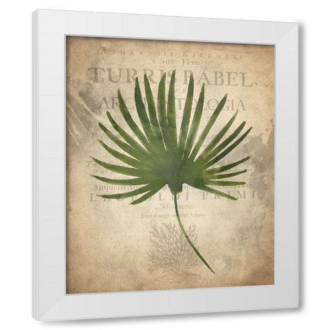 Palms C White Modern Wood Framed Art Print by Kimberly, Allen