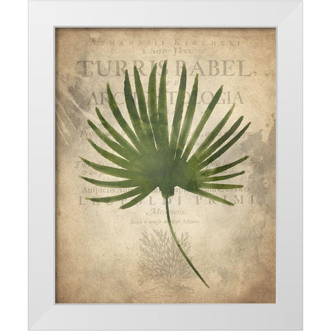 Palms C White Modern Wood Framed Art Print by Kimberly, Allen