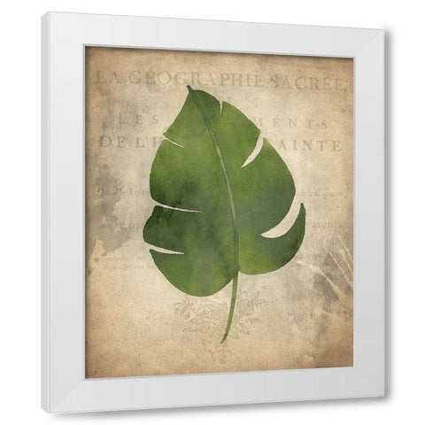 Palms D White Modern Wood Framed Art Print by Kimberly, Allen