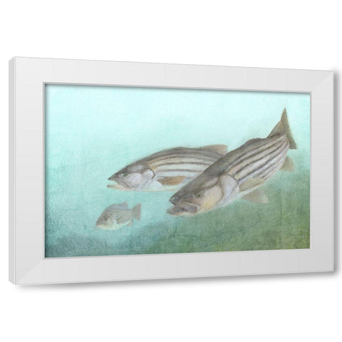Fish Family White Modern Wood Framed Art Print by Kimberly, Allen