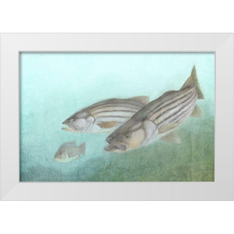 Fish Family White Modern Wood Framed Art Print by Kimberly, Allen