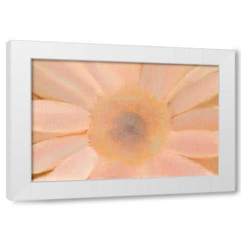 Soft Glow White Modern Wood Framed Art Print by Kimberly, Allen