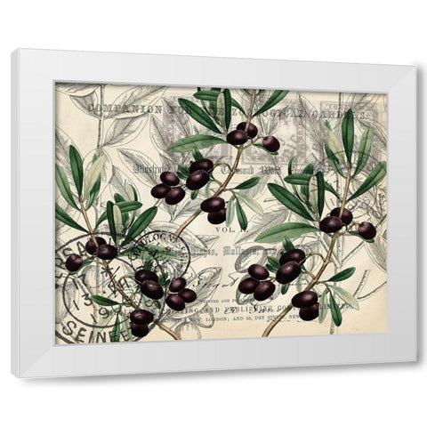 Olive Branches White Modern Wood Framed Art Print by Kimberly, Allen