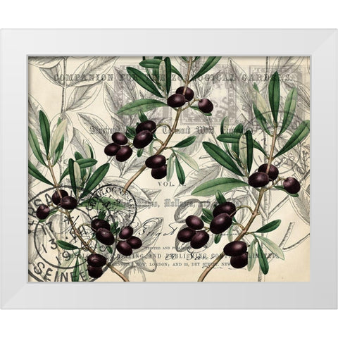 Olive Branches White Modern Wood Framed Art Print by Kimberly, Allen