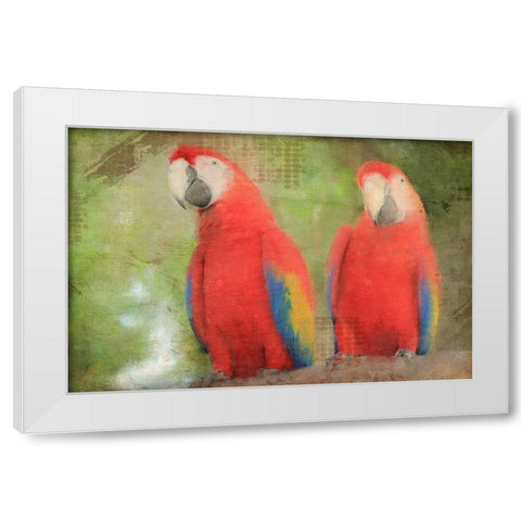 Best Friends  White Modern Wood Framed Art Print by Kimberly, Allen