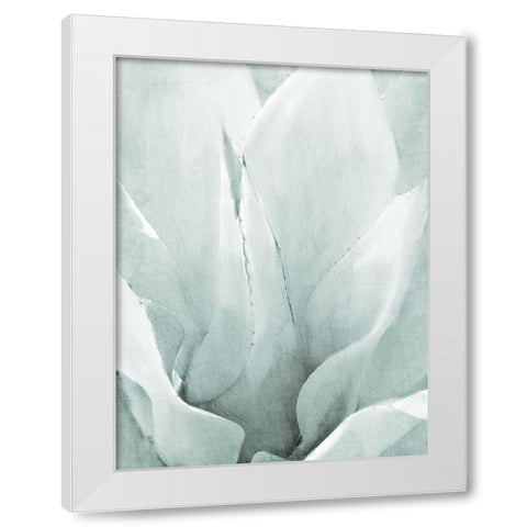 Agave II White Modern Wood Framed Art Print by Kimberly, Allen
