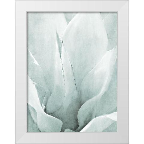 Agave II White Modern Wood Framed Art Print by Kimberly, Allen