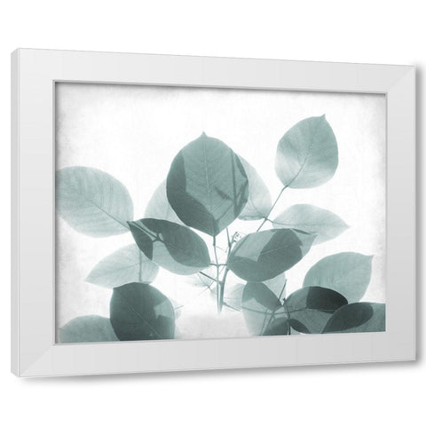 Antiqued Leaves 2 White Modern Wood Framed Art Print by Kimberly, Allen
