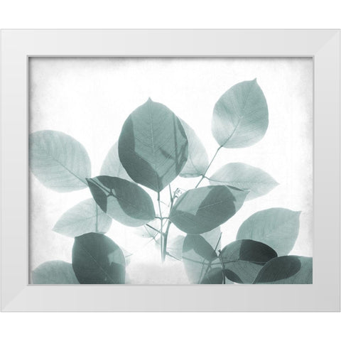 Antiqued Leaves 2 White Modern Wood Framed Art Print by Kimberly, Allen