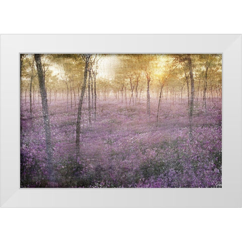 The Grove White Modern Wood Framed Art Print by Kimberly, Allen