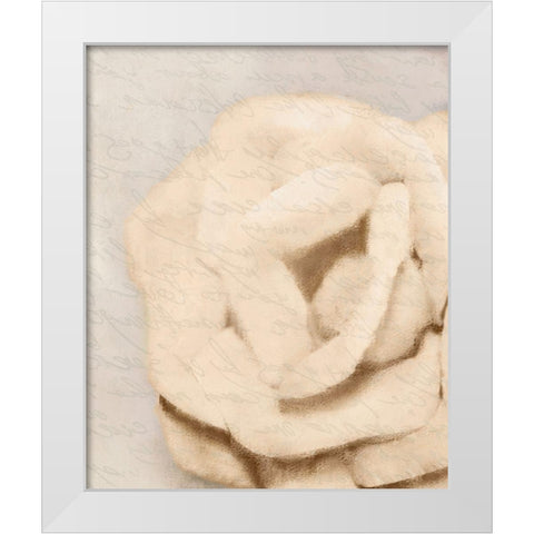 Natural 2 White Modern Wood Framed Art Print by Kimberly, Allen