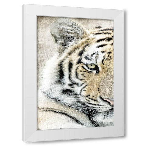 Concentration A White Modern Wood Framed Art Print by Kimberly, Allen