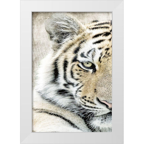 Concentration A White Modern Wood Framed Art Print by Kimberly, Allen