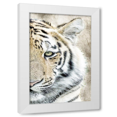 Concentration B White Modern Wood Framed Art Print by Kimberly, Allen