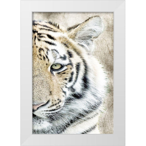 Concentration B White Modern Wood Framed Art Print by Kimberly, Allen