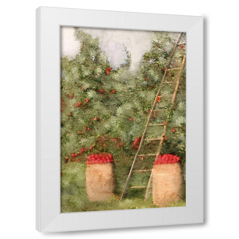 Country Fall 3 White Modern Wood Framed Art Print by Kimberly, Allen