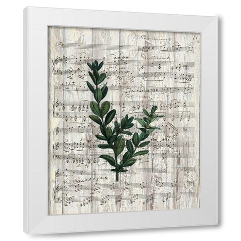 Musical Botanical 1 White Modern Wood Framed Art Print by Kimberly, Allen