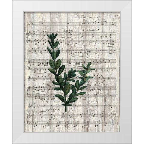 Musical Botanical 1 White Modern Wood Framed Art Print by Kimberly, Allen
